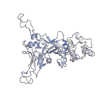 7476_6chs_A_v1-3
Cdc48-Npl4 complex in the presence of ATP-gamma-S