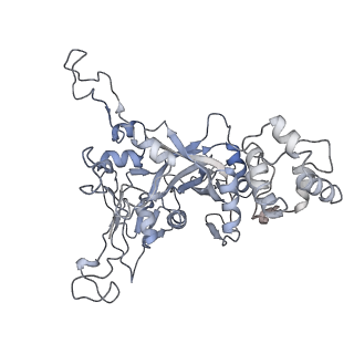 7476_6chs_A_v1-4
Cdc48-Npl4 complex in the presence of ATP-gamma-S