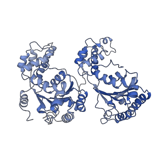 7476_6chs_D_v1-3
Cdc48-Npl4 complex in the presence of ATP-gamma-S