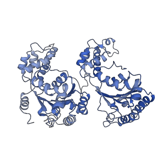 7476_6chs_D_v1-4
Cdc48-Npl4 complex in the presence of ATP-gamma-S