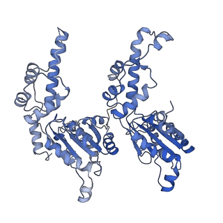 7476_6chs_E_v1-3
Cdc48-Npl4 complex in the presence of ATP-gamma-S
