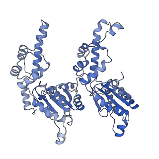 7476_6chs_E_v1-4
Cdc48-Npl4 complex in the presence of ATP-gamma-S