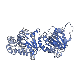 7476_6chs_F_v1-3
Cdc48-Npl4 complex in the presence of ATP-gamma-S