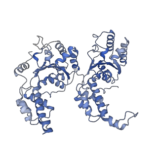 7476_6chs_H_v1-3
Cdc48-Npl4 complex in the presence of ATP-gamma-S