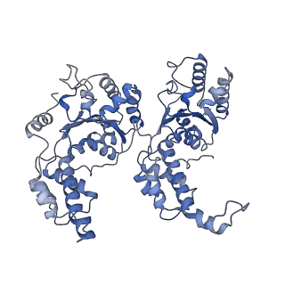 7476_6chs_H_v1-4
Cdc48-Npl4 complex in the presence of ATP-gamma-S