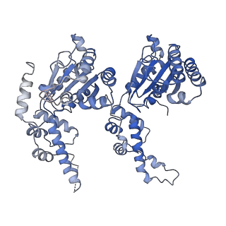 7476_6chs_I_v1-4
Cdc48-Npl4 complex in the presence of ATP-gamma-S