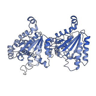 7476_6chs_J_v1-3
Cdc48-Npl4 complex in the presence of ATP-gamma-S