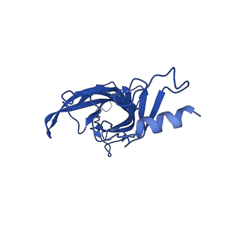 16665_8ci1_A_v1-0
Human alpha7 nicotinic receptor in complex with the E3 nanobody and nicotine