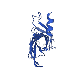16665_8ci1_B_v1-0
Human alpha7 nicotinic receptor in complex with the E3 nanobody and nicotine