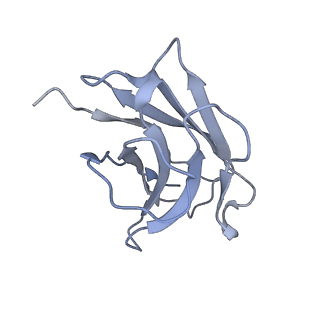 16666_8ci2_I_v1-0
human alpha7 nicotinic receptor in complex with the C4 nanobody under sub-saturating conditions