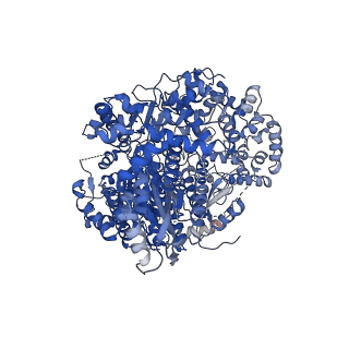 16670_8ci5_A_v1-1
Structure of the SNV L protein bound to 5' RNA