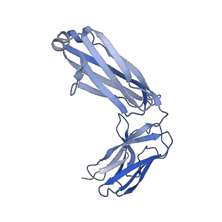 16676_8cii_B_v1-0
Delta-RBD complex with BA.2-07 fab, SARS1-34 fab and C1 nanobody