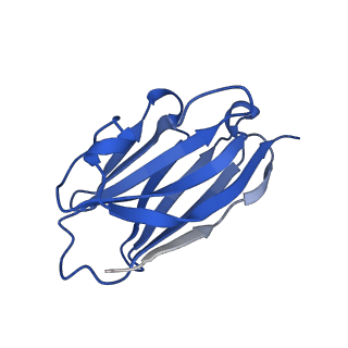 16676_8cii_C_v1-0
Delta-RBD complex with BA.2-07 fab, SARS1-34 fab and C1 nanobody