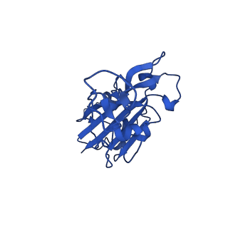 16676_8cii_E_v1-0
Delta-RBD complex with BA.2-07 fab, SARS1-34 fab and C1 nanobody