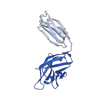 16676_8cii_H_v1-0
Delta-RBD complex with BA.2-07 fab, SARS1-34 fab and C1 nanobody