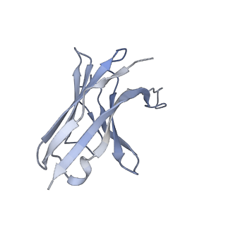 16678_8cim_D_v1-0
BA.2-07 FAB IN COMPLEX WITH SARS-COV-2 BA.2.12.1 SPIKE GLYCOPROTEIN