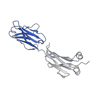 16680_8cin_F_v1-0
BA.4/5-5 FAB IN COMPLEX WITH SARS-COV-2 BA.4 SPIKE GLYCOPROTEIN