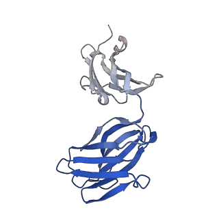 16680_8cin_J_v1-0
BA.4/5-5 FAB IN COMPLEX WITH SARS-COV-2 BA.4 SPIKE GLYCOPROTEIN