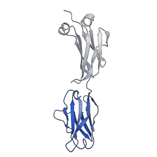 16680_8cin_K_v1-0
BA.4/5-5 FAB IN COMPLEX WITH SARS-COV-2 BA.4 SPIKE GLYCOPROTEIN