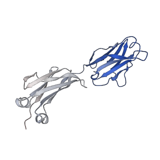 16680_8cin_L_v1-0
BA.4/5-5 FAB IN COMPLEX WITH SARS-COV-2 BA.4 SPIKE GLYCOPROTEIN