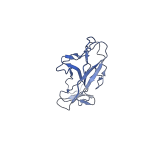 16683_8cio_D_v1-1
Cryo-EM structure of the CupE pilus from Pseudomonas aeruginosa