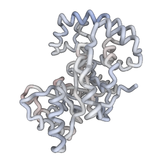 7305_6ci1_E_v1-1
The Structure of Full-Length Kv Beta 2.1 Determined by Cryogenic Electron Microscopy