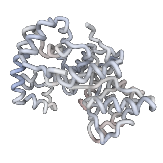 7305_6ci1_H_v1-2
The Structure of Full-Length Kv Beta 2.1 Determined by Cryogenic Electron Microscopy