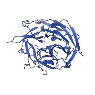 7480_6cij_B_v1-5
Cryo-EM structure of mouse RAG1/2 HFC complex containing partial HMGB1 linker(3.9 A)