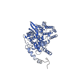 7480_6cij_C_v1-4
Cryo-EM structure of mouse RAG1/2 HFC complex containing partial HMGB1 linker(3.9 A)