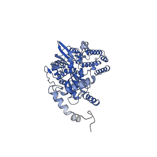 7480_6cij_C_v1-5
Cryo-EM structure of mouse RAG1/2 HFC complex containing partial HMGB1 linker(3.9 A)