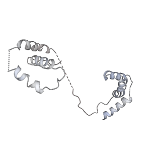 7480_6cij_N_v1-5
Cryo-EM structure of mouse RAG1/2 HFC complex containing partial HMGB1 linker(3.9 A)