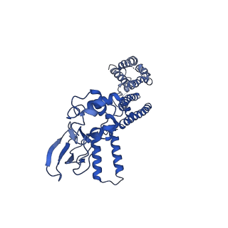 7482_6cjq_A_v1-2
Structure of the SthK cyclic nucleotide-gated potassium channel