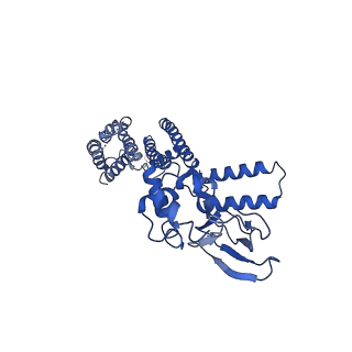 7482_6cjq_B_v1-1
Structure of the SthK cyclic nucleotide-gated potassium channel