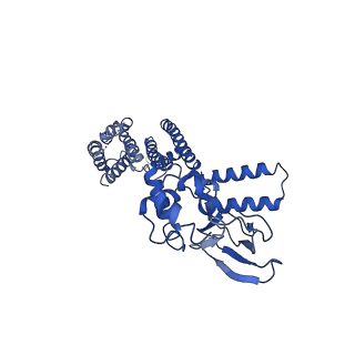 7482_6cjq_B_v1-2
Structure of the SthK cyclic nucleotide-gated potassium channel