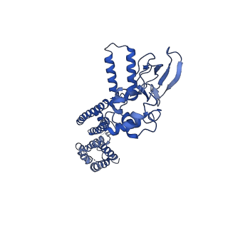 7482_6cjq_C_v1-1
Structure of the SthK cyclic nucleotide-gated potassium channel