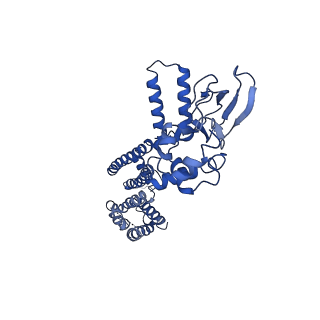 7482_6cjq_C_v1-2
Structure of the SthK cyclic nucleotide-gated potassium channel