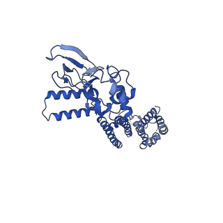 7482_6cjq_D_v1-1
Structure of the SthK cyclic nucleotide-gated potassium channel