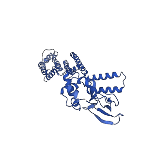 7483_6cjt_B_v1-1
Structure of the SthK cyclic nucleotide-gated potassium channel in complex with cGMP