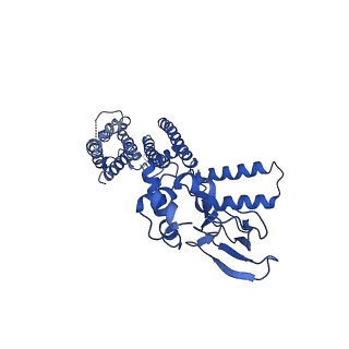 7483_6cjt_B_v1-2
Structure of the SthK cyclic nucleotide-gated potassium channel in complex with cGMP