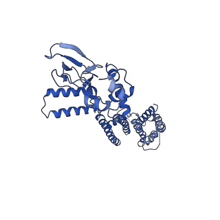 7483_6cjt_D_v1-1
Structure of the SthK cyclic nucleotide-gated potassium channel in complex with cGMP