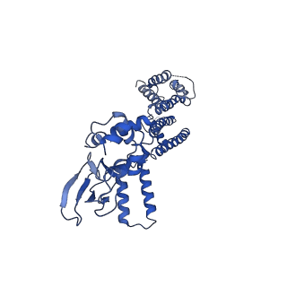 7484_6cju_A_v1-2
Structure of the SthK cyclic nucleotide-gated potassium channel in complex with cAMP