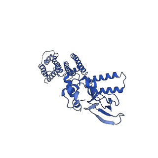 7484_6cju_B_v1-1
Structure of the SthK cyclic nucleotide-gated potassium channel in complex with cAMP
