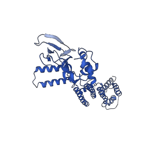 7484_6cju_D_v1-2
Structure of the SthK cyclic nucleotide-gated potassium channel in complex with cAMP