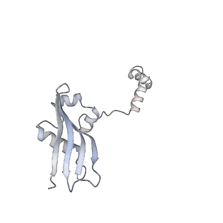 16702_8cku_0_v1-6
Translocation intermediate 1 (TI-1*) of 80S S. cerevisiae ribosome with ligands and eEF2 in the absence of sordarin