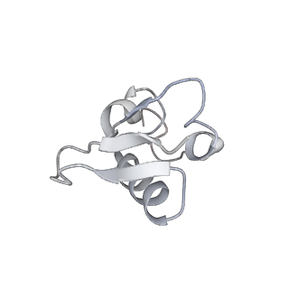 16702_8cku_1_v1-6
Translocation intermediate 1 (TI-1*) of 80S S. cerevisiae ribosome with ligands and eEF2 in the absence of sordarin