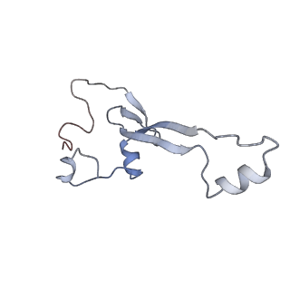 16702_8cku_2_v1-6
Translocation intermediate 1 (TI-1*) of 80S S. cerevisiae ribosome with ligands and eEF2 in the absence of sordarin