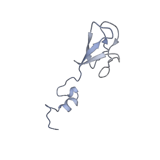 16702_8cku_3_v1-6
Translocation intermediate 1 (TI-1*) of 80S S. cerevisiae ribosome with ligands and eEF2 in the absence of sordarin