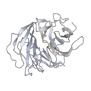 16702_8cku_7_v1-5
Translocation intermediate 1 (TI-1*) of 80S S. cerevisiae ribosome with ligands and eEF2 in the absence of sordarin