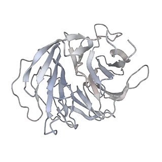 16702_8cku_7_v1-6
Translocation intermediate 1 (TI-1*) of 80S S. cerevisiae ribosome with ligands and eEF2 in the absence of sordarin