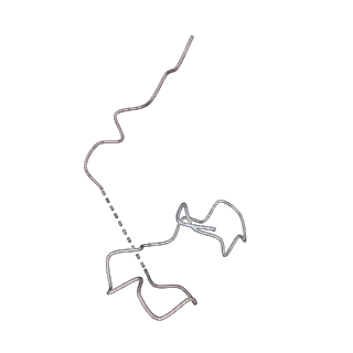 16702_8cku_8_v1-6
Translocation intermediate 1 (TI-1*) of 80S S. cerevisiae ribosome with ligands and eEF2 in the absence of sordarin